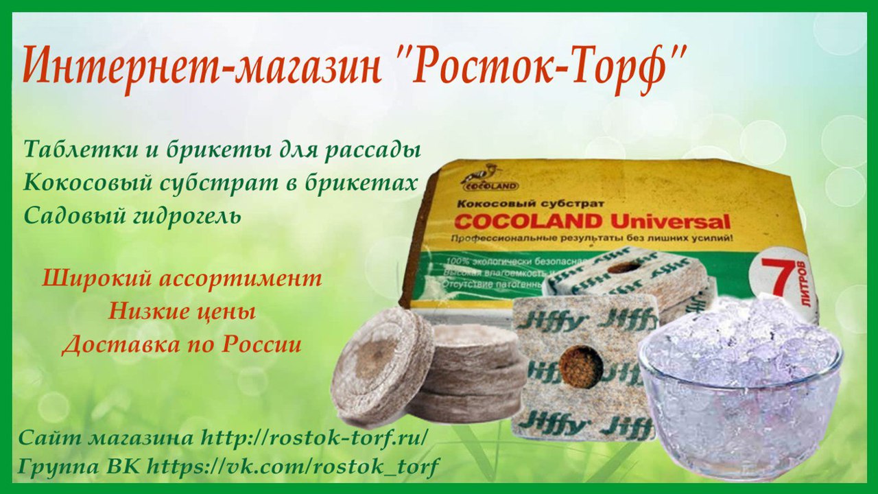 ЭСТАФЕТА СЮРПРИЗОВ! ЭСТАФЕТА СЮРПРИЗОВ!