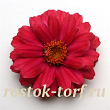 Цинния (Zinnia marylandica) Double Zahara™ Cherry, 5 обраб. семян