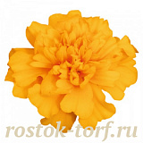 Бархатцы отклоненные (Tagetes patula F1) Super Hero Gold, 10 шт очищ.семян