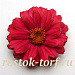 Цинния (Zinnia marylandica) Double Zahara™ Cherry, 5 обраб. семян