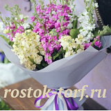 Маттиола (Matthiola Cut Flower) Tosca Mix, 10 шт