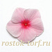 Катарантус розовый ампельный (Vinca rosea) Mediterranean XP Strawberry, 5 семян
