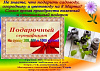 Сертификаты подарочные