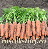 Big pack Морковь Ромоса, 5 гр обработанных семян