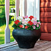 Бегония вечноцветущая Begonia semperflorens Super Cool MIX, 10 драже
