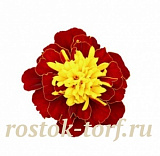 Бархатцы отклоненные (Tagetes patula F1) Super Hero Spry, 10 шт.очищ.семян