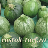 Кабачок Тинторетто, 5 шт семян